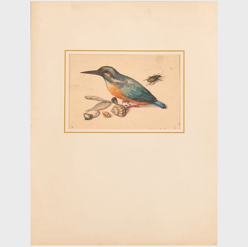 20th Century School: Ornithology: Three Works