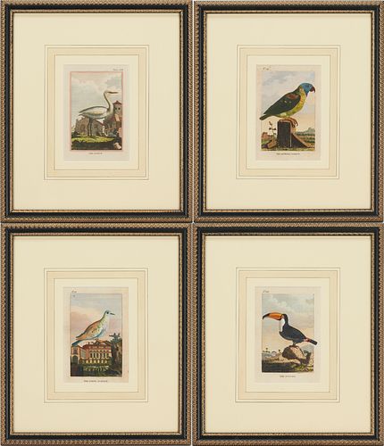 4 Ornithological Engravings by George L. Comte de Buffon