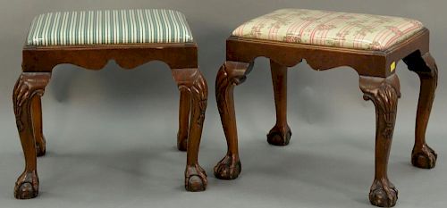 Pair of Chippendale style mahogany benches with upholstered tops and ball and claw feet. ht. 20in., top: 16" x 20"