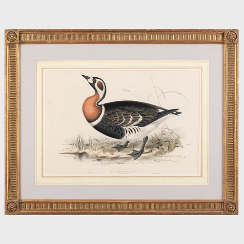 John Gould (1804-1881): Birds of Asia: Four Plates