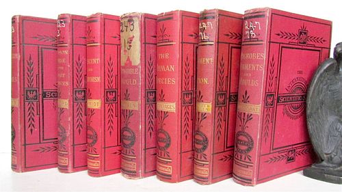 ANTIQUE INTERNATIONAL SCIENTIFIC SERIES 7 VOLUMES 1875–1887 HEILPRIN SCHMIDT DARWIN