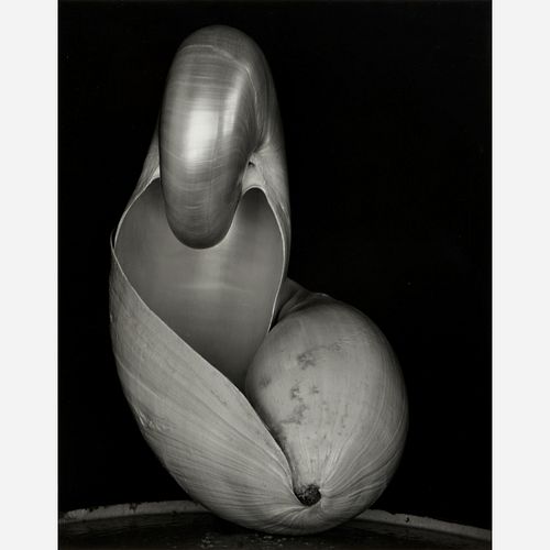  Edward Weston "Two Shells" (Gelatin Silver Print)