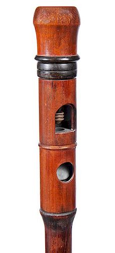 111. Unusual Scope Cane – Ca. 1870 – A beautiful exotic wood handle and shaft with horn mounts, the handle doubles as an 