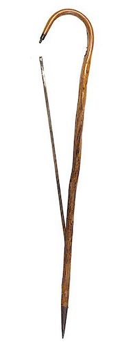 188. English Saw Cane- Ca. 1870- A typical but rare British saw cane one-piece natural branch crook cane with a 30” saw bla