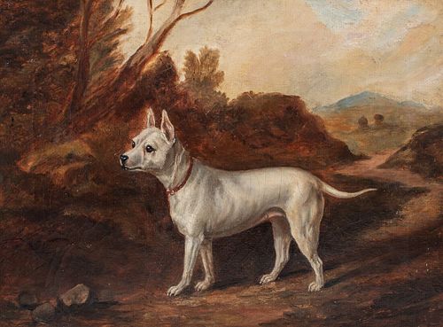 PORTRAIT OF A WHITE BULLDOG OIL PAINTING