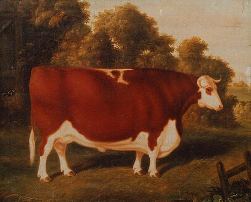 PORTRAIT OF A PRIZE HEREFORD BULL OIL PAINTING