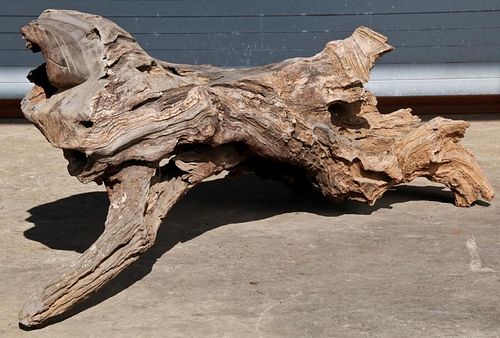 Naturalistic Driftwood "Lion" Bench