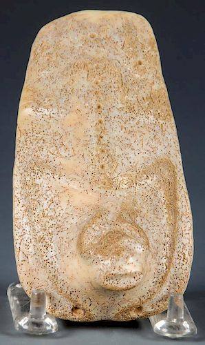 Taino Large Figural Shell Scoop (1000-1500 CE)