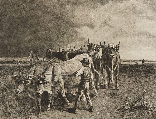 Courtry "Oxen Ploughing" Etching After Troyon 1883