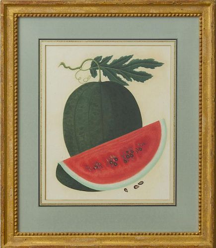 ANGLO-CHINESE SCHOOL: WATERMELON; PINEAPPLE; GRAPEFRUIT/POMELLO; AND FINGER-CITRON