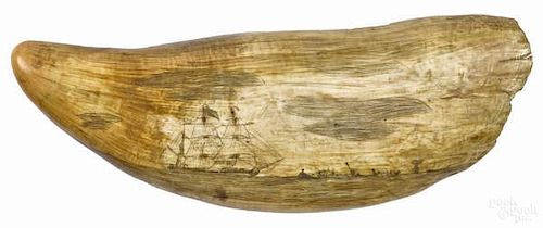 Large scrimshaw whale tooth, 19th c., decorated