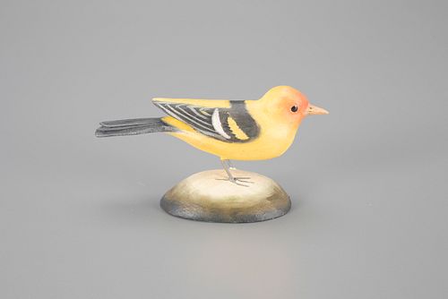 Western Tanager by Frank S. Finney (b. 1947)
