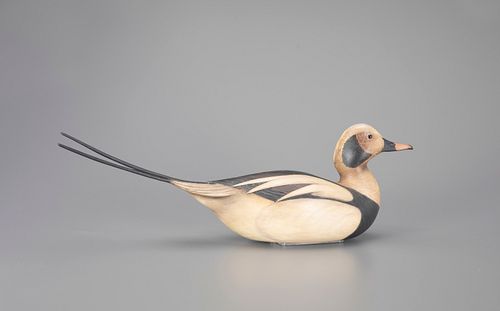 Outstanding Long-Tailed Drake Decoy by William Gibian (b. 1946)