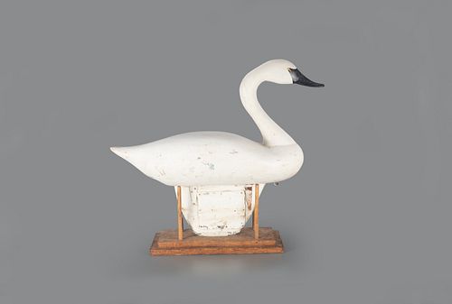 Early Swan Decoy by R. Madison Mitchell (1901-1993)