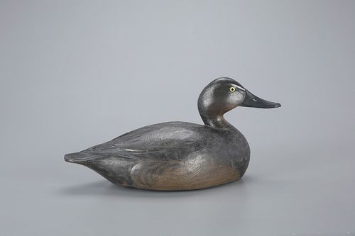 The McCleery Crowell Canvasback Hen Decoy by A. Elmer Crowell (1862-1952)