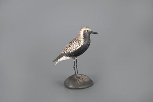 Exceptional Black-Bellied Plover by A. Elmer Crowell (1862-1952)