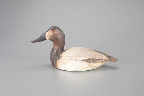 Canvasback Hen Decoy by The Ward Brothers