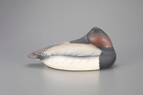 Sleeping Canvasback Decoy by The Ward Brothers