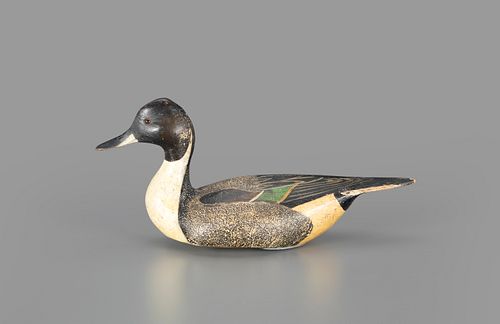 The Mackey-Williams Pinch-Breast Pintail Drake Decoy by The Ward Brothers