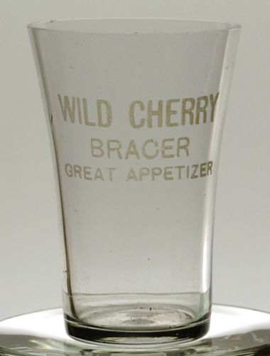 1910 Wild Cherry Bracer 3 inch Shotglass Atlanta Georgia Etched Drinking Glass 