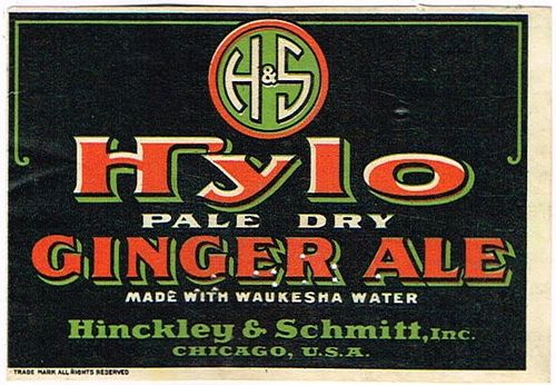 1920 Hylo Ginger Ale 12oz Label Chicago Illinois