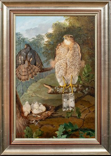 TWO SPARROW HAWKS AT THEIR NEST OIL PAINTING
