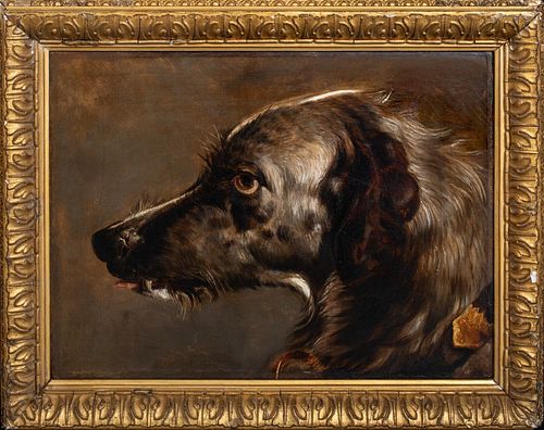  PORTRAIT OF THE HEAD OF A SCOTTISH DEERHOUND OIL PAINTING