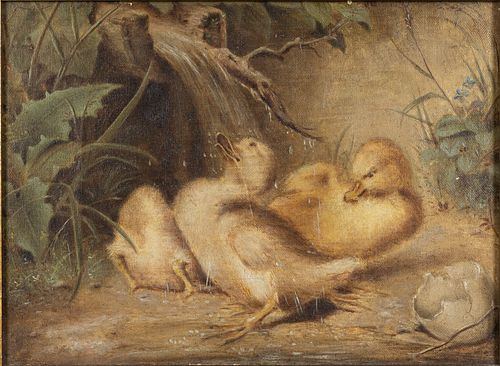 Unsigned, Ducklings, Oil on Canvas