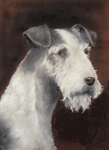  PORTRAIT OF A GREY & WHITE AIRDALE TERRIER OIL PAINTING