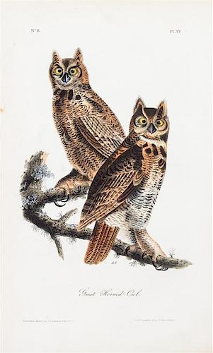 (NATURAL HISTORY) AUDUBON, JOHN JAMES. 40-plus Royal Octavo Audubon prints, some first edition; mostly birds, some quadrupeds