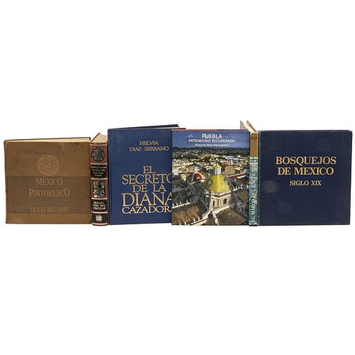 Lote de libros, temas varios. Historia Veradera de la Conquista de la Nueva España /Brehme, Hugo. México Pintoresco. Piezas: 6.