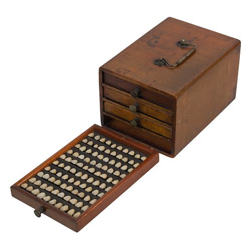False tooth collection in wooden box