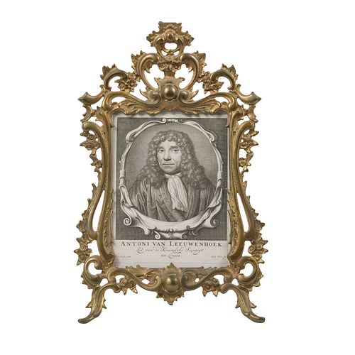 Engraving, Portrait of Antoni van Leeuwenhoek