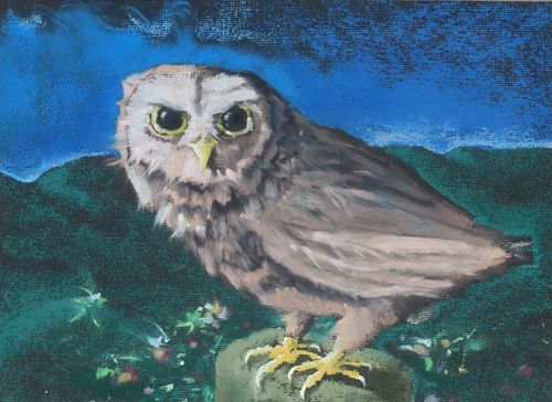 KELLY FEARING (TEXAS, 1918-2011) PASTEL LITTLE OWL, 1974