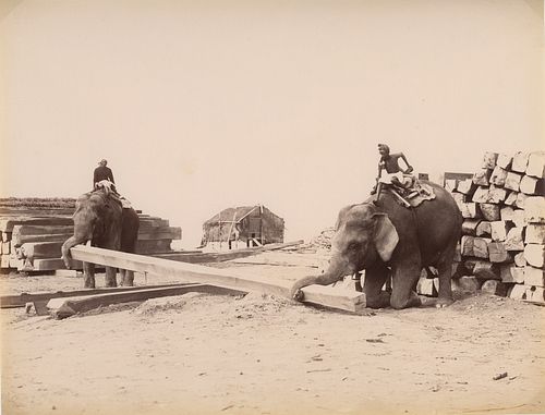 BURMA. Indian Elephants Stacking Lumber, Burma. c1880