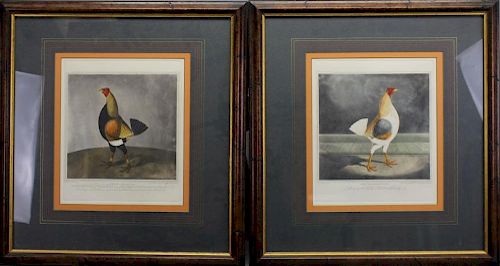 (2) Framed Hand Colored Engravings of Chickens