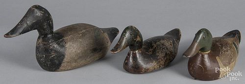 Three carved and painted duck decoys, early/mid 20th c., the largest probably Illinois River area, 1