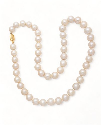 South Sea Pearl (12-13mm) Necklace, 18kt Gold Clasp, L 26" 141g
