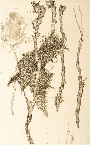 Juvenal Sanso (Spain, B. 1929) Etching on Paper "Fleurs Et Racines", H 17.5" W 10.7"