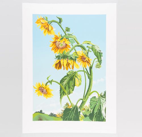 Sondra Freckelton (1936-2019): Sunflowers, State 1