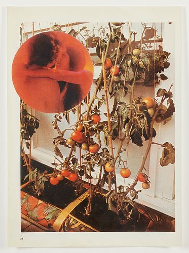 Wade Guyton "The Tomato Lovers" Photograph 2006