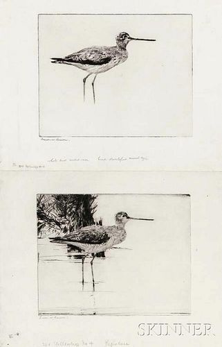 Frank Weston Benson (American, 1862-1951)      Two Impressions of Yellowlegs No. 4