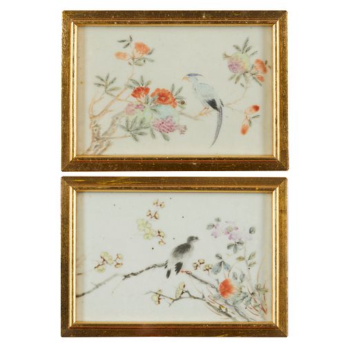 Pair of Chinese Guangxu Porcelain Plaques of Birds