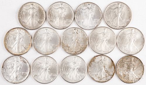 Fourteen American Eagle 1 ozt fine silver coins