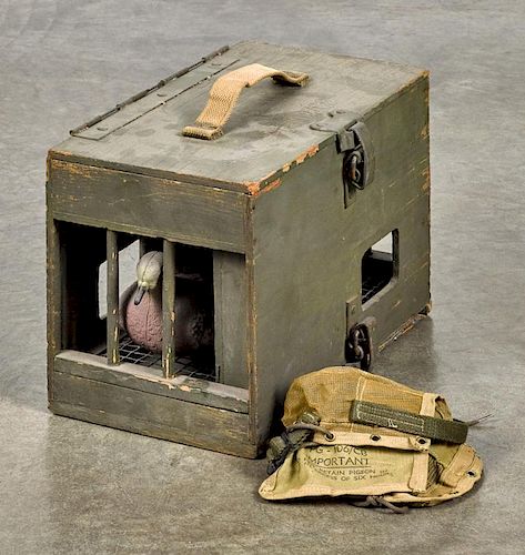 WWII US Army pigeon carrier PG-102/CB, 9 1/2'' h., 13 1/2'' w., together with a paratroopers pigeon