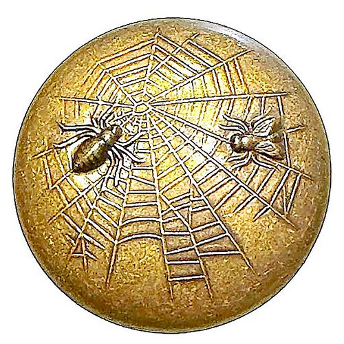 A division one pictorial brass insect button