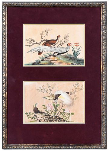 Pair of Chinese Pith Paintings in Frame