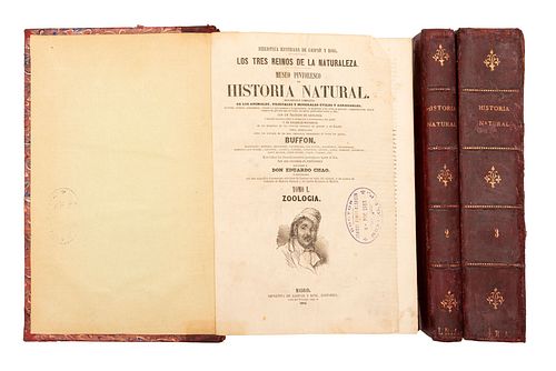 LOS TRES REINOS DE LA NATURALEZA, MUSEO PINTORESCO DE HISTORIA NATURAL. MADRID: IMPRENTA DE GASPAR Y ROIG, 1852 - 1854. PIEZAS: 3...