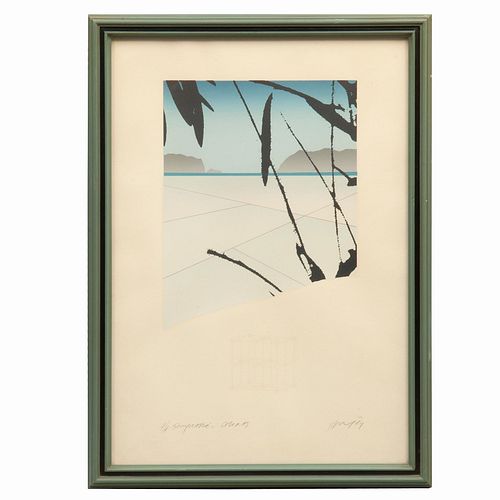 JAN HENDRIX, Sahara, Firmada y fechada 04, Serigrafía P / A, 39 x 24 cm imagen / 50 x 35 cm papel