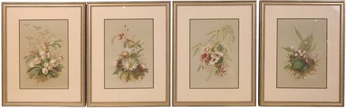Emile Vouga, Swiss 1840-1909, Botanicals, Prints